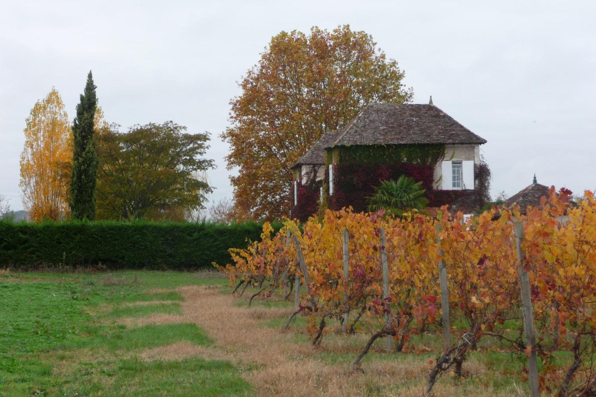 Bed and Breakfast Domaine De La Queyssie Saussignac Exterior foto
